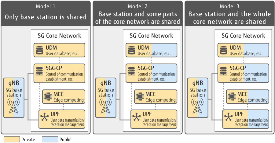 Figure 6: Conceptual Diagram of PNI-NPN Models (Shared Models) for Enterprise Dedicated Networks