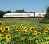 Train Train
