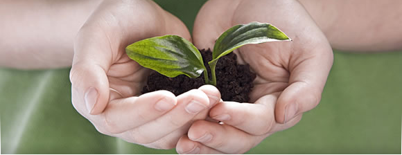 Solutions sustainability Solutions sustainability