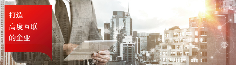 Becoming a Hyper-connected Business Becoming a Hyper-connected Business