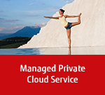 Managed Private Cloud Service Managed Private Cloud Service