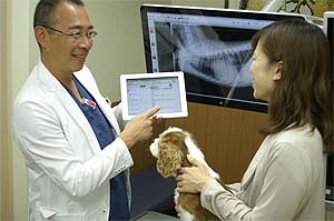 Animal hospital, Japan Animal hospital, Japan