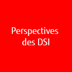 vcs_perspectives_dsi
