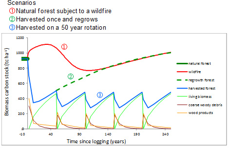 Figure 2. Carbon stock volume simulation results depending on post-wildfire forest management