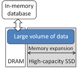 Figure 1. Memory expansion for in-memory database
