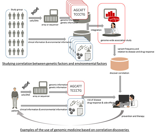 Figure 1: Genome-wide association study and sample genomic treatment