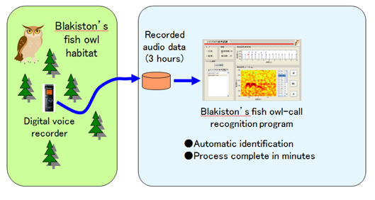 Program for automatically extracting the call of the Blakiston’s fish owl