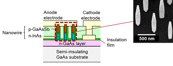Figure 3. Cross-section of the Nanowire Backward Diode and the Nanowire Crystals