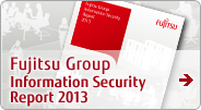 Informatin Security Report 2013