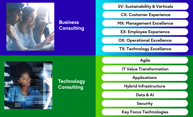 Focus areas of the consulting business