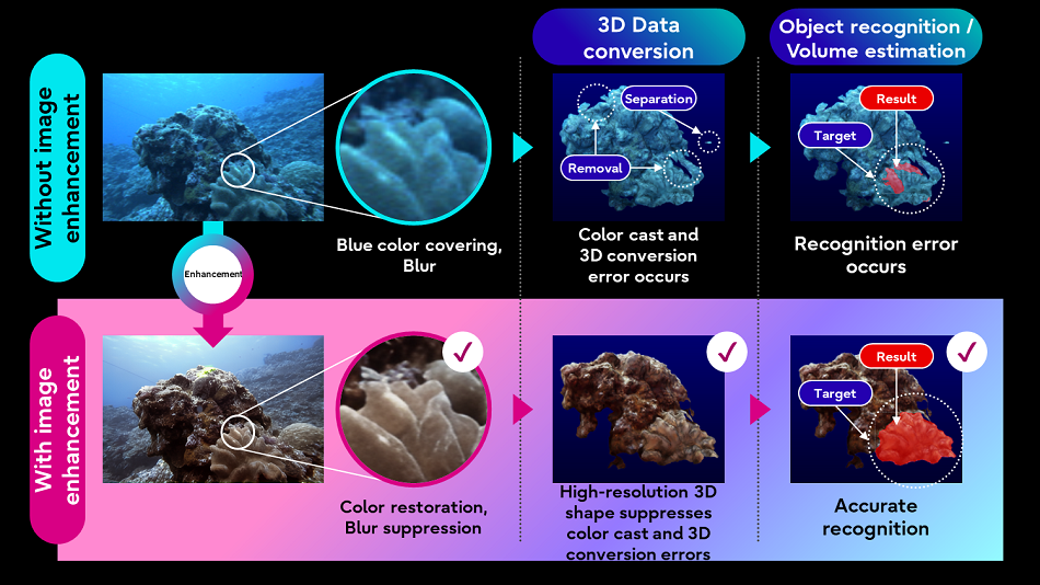 Figure 2. Precise 3D shape data of coral reefs using image enhancement AI technology