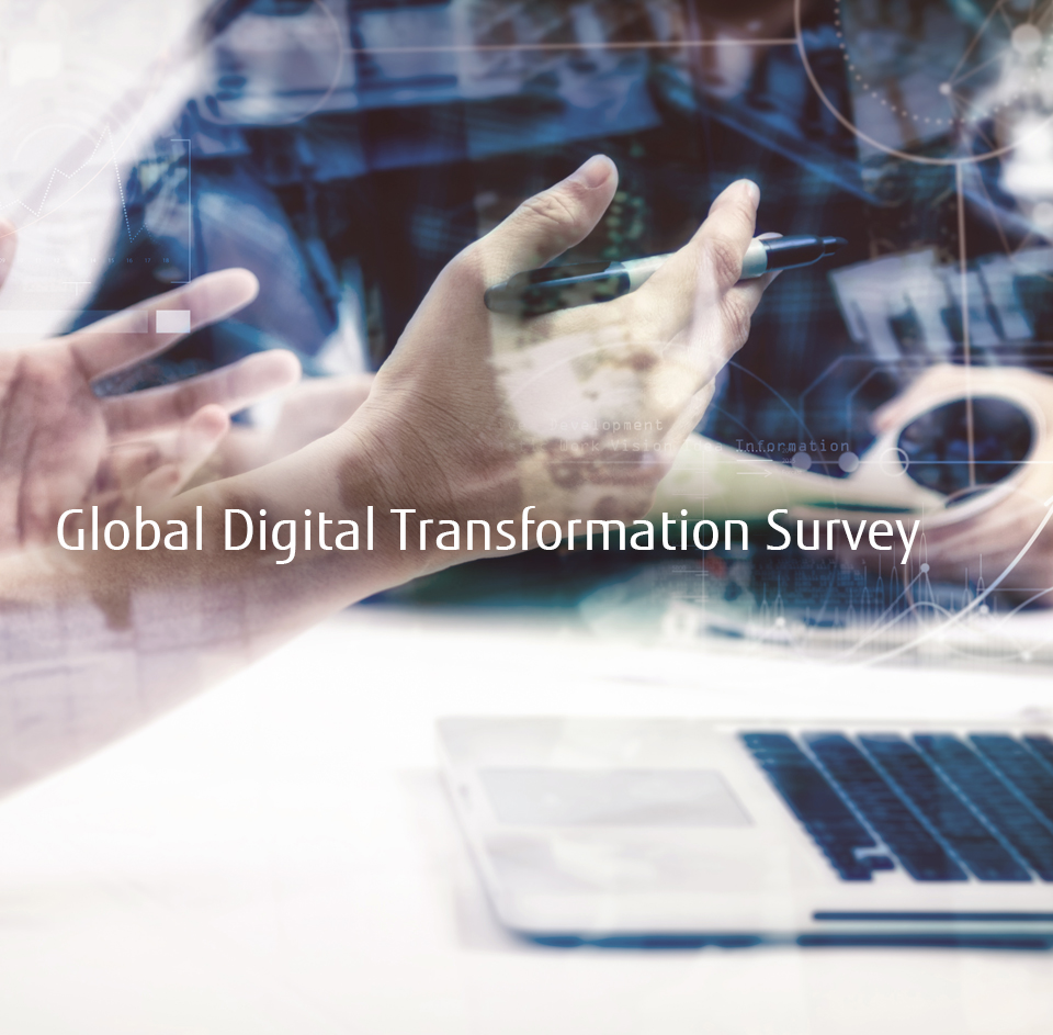 Global Digital Transformation Survey