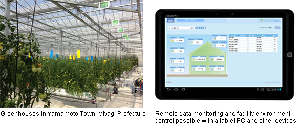 Supporting High-Quality, High-Productivity Greenhouse Horticulture with "Akisai"