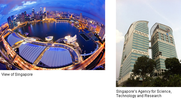 Sustainable Urban Development Using Big Data (Singapore)
