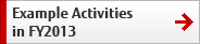 Example Activities in FY2013 Example Activities in FY2013