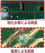 硫化水素/塩害による腐食 硫化水素/塩害による腐食