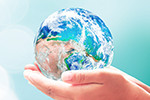 For the Global Environment For the Global Environment