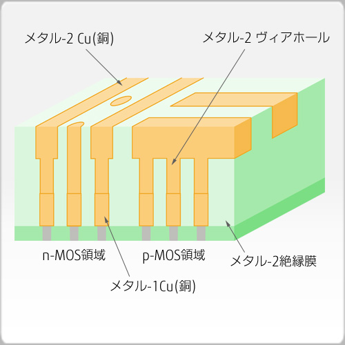 メタル-1Cu研磨