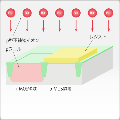 pウェル
