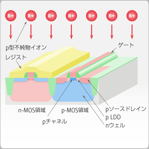 p-ソースドレイン