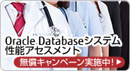 Oracle Databaseシステム性能アセスメント。無償キャンペーン実施中！