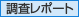調査レポート 調査レポート