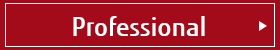Professional Professional