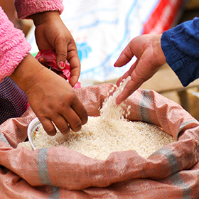 Transforming the $450 billion rice trade