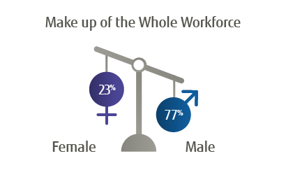 Make up of the Whole Workforce