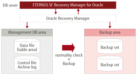 Recovery Manager for Oracle fig1