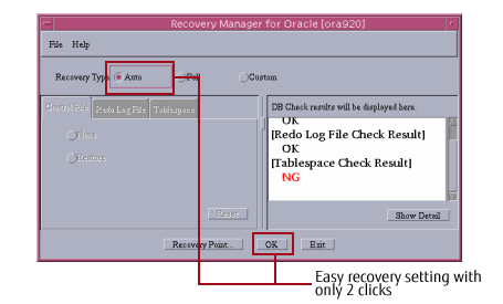 Recovery Manager for Oracle fig2