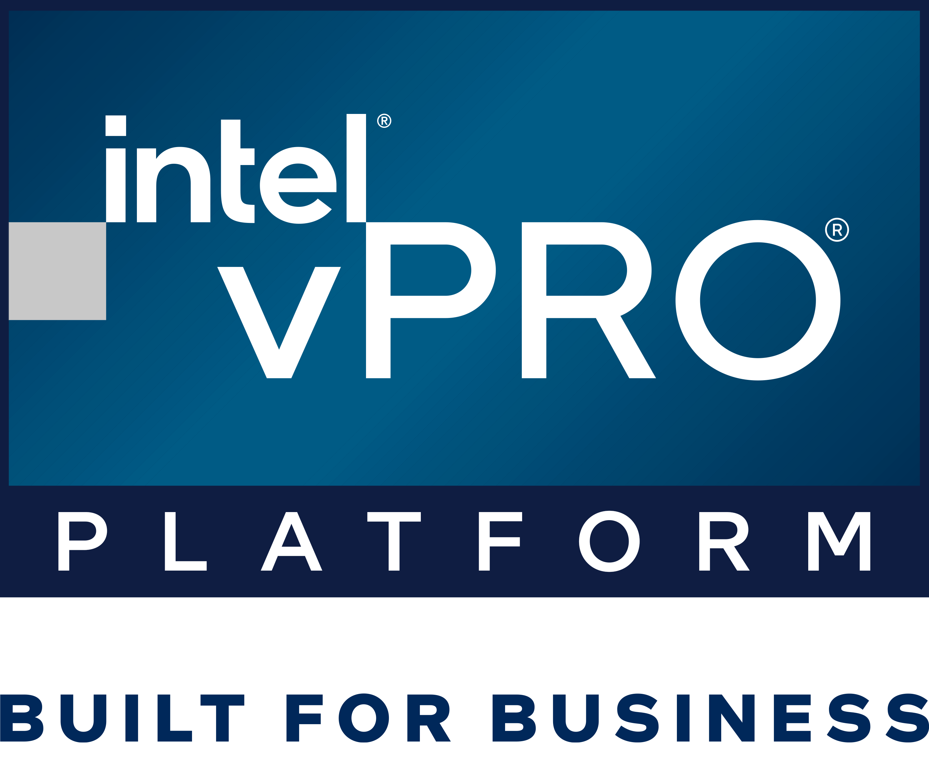 Intel vPRO Badge