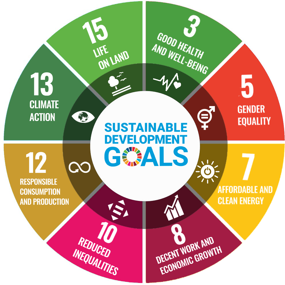 SDG-wheel-2020.Transparent.png