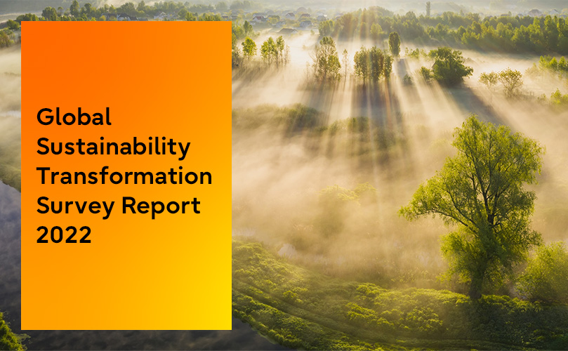 Sustainability transformation survey 2022
