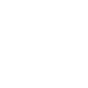 Icon network flower Icon network flower