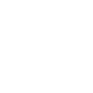 Icon shaking hands Icon shaking hands