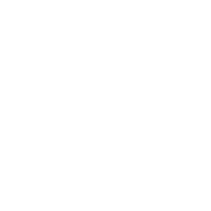 Icon Shield Icon Shield