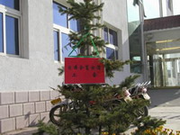 纪念树