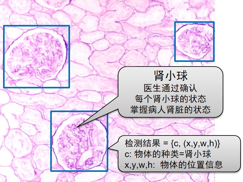 figure1 figure1