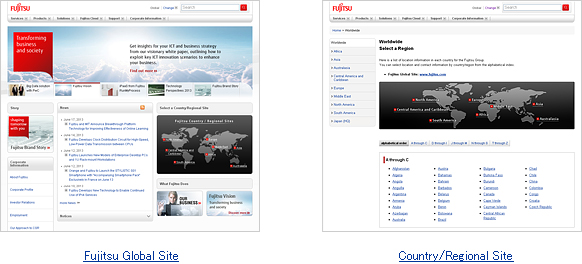 Image: Global web portal and countries / regional web portals