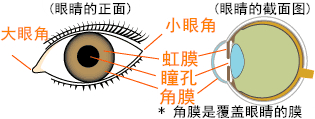 eye p03-00b eye p03-00b