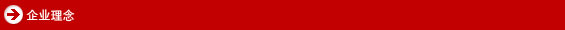 Corporate Vision