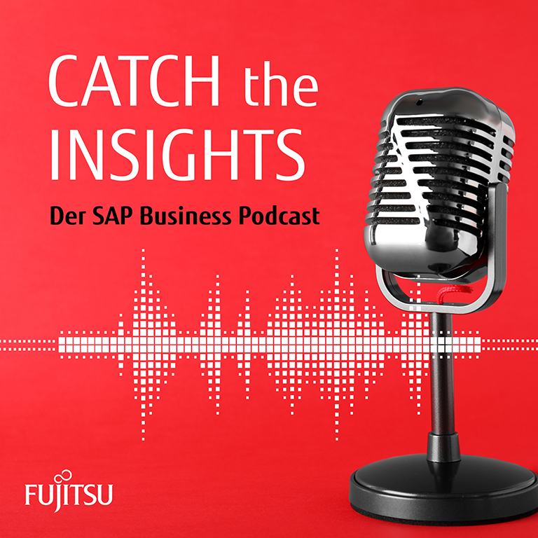 Catch the Insights Banner Logo Catch the Insights Banner Logo