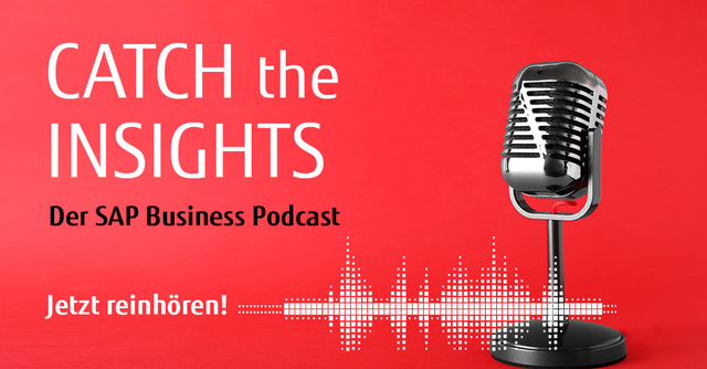 Podcast Catch the Insights - mit Seffen Müter