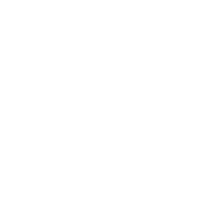 icon service und support icon service und support