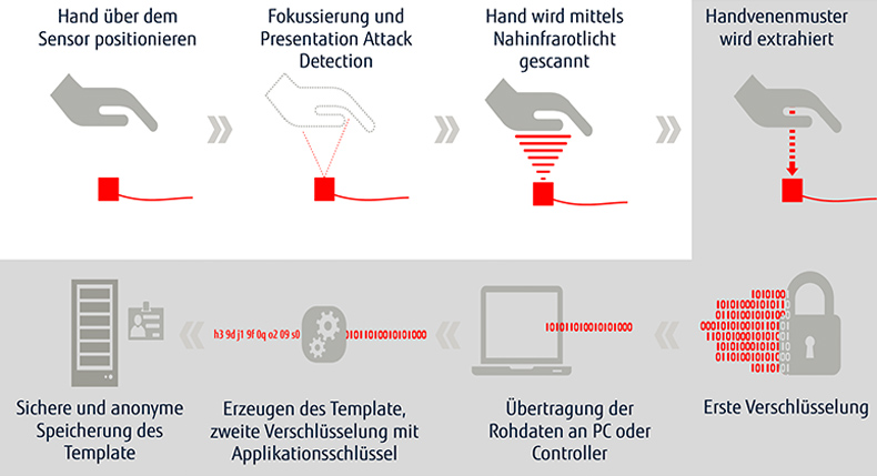 PalmVein Funktion Grafik PalmVein Funktion Grafik