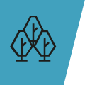 pictogram trees