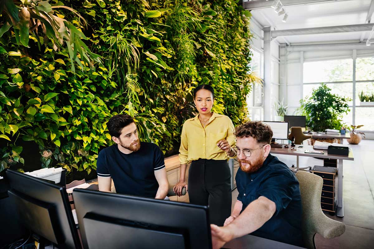 three colleagues are discussing while looking at a monitor and standing in front of a wall of green plants