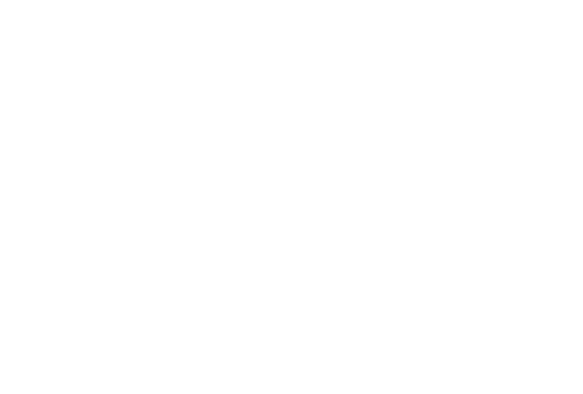Customer success