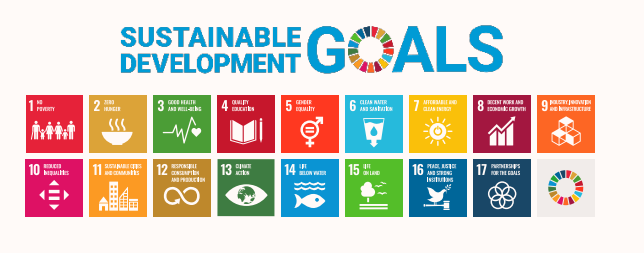 Graphic showing the 17 UN SDGs